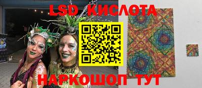 стафф Гатчина