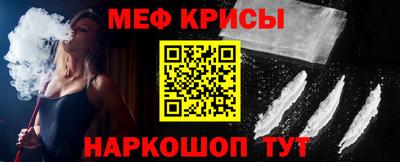 стафф Гатчина