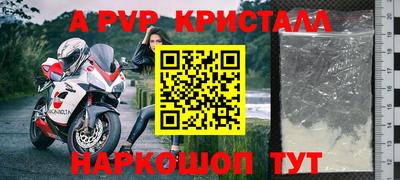 стафф Гатчина