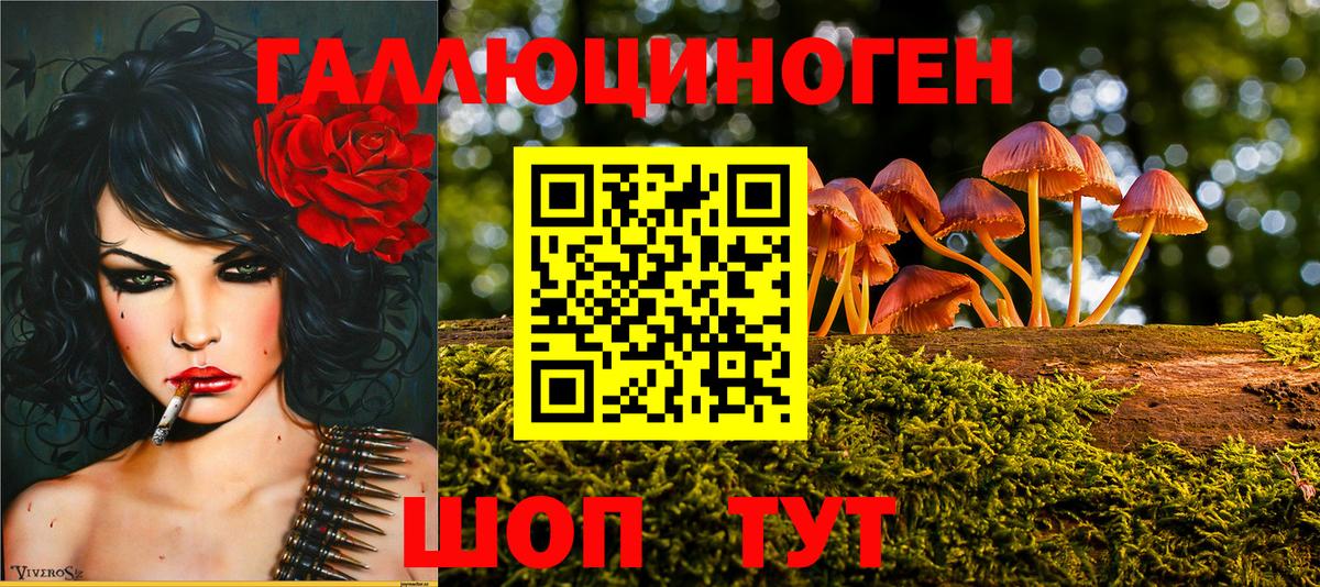 закладка  Вход с VPN  Нижнеудинск  Галлюциногенные грибы MAGIC MUSHROOMS 